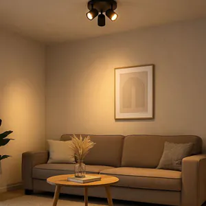 Ceiling lights