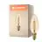 Ledvance Vintage 1906 LED E14 Kaars Goud 3.4W 250lm - 822 Zeer Warm Wit | Dimbaar - Vervangt 25W