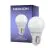 Noxion Lucent Classic LED E27 Kogel Mat 4.5W 470lm - 827 Zeer Warm Wit | Vervangt 40W