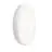 Philips LED Bulkhead CoreLine WL200V Wit 30W 4050lm - 830-840 CCT | 400mm - IP65 - Dali Dimbaar