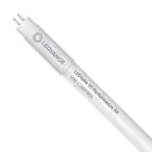 Ledvance LED Buis T5 Performance (HF) High Efficiency 16W 2400lm - 865 Daglicht | 115cm - Vervangt 28W