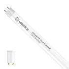 Ledvance LED Buis T8 Value (EM/Mains) Standard Output 15W 1800lm - 865 Daglicht | 120cm - Vervangt 36W